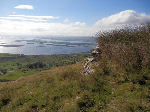 cliquer pour télécharger cliquer pour télécharger