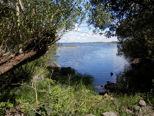 cliquer pour télécharger cliquer pour télécharger