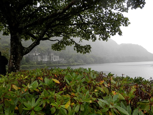 cliquer pour télécharger cliquer pour télécharger