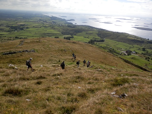 cliquer pour télécharger cliquer pour télécharger