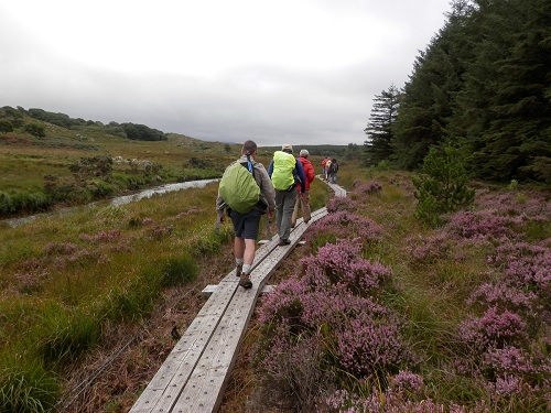 cliquer pour télécharger cliquer pour télécharger