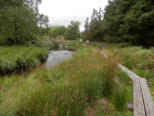 cliquer pour télécharger cliquer pour télécharger