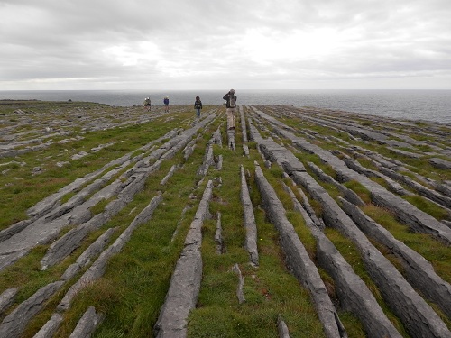 cliquer pour télécharger cliquer pour télécharger