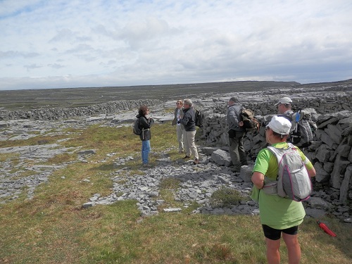 cliquer pour télécharger cliquer pour télécharger