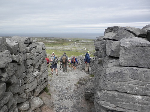 cliquer pour télécharger cliquer pour télécharger