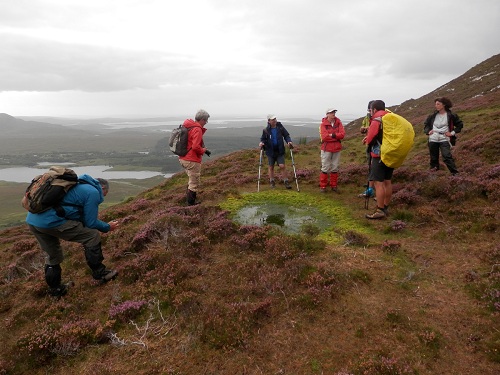 cliquer pour télécharger cliquer pour télécharger