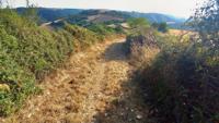 sentier