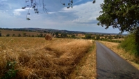 sentier