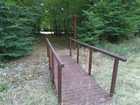 avant le milieu