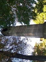 Avogadro