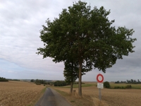 Hernicourt